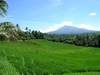 Alam  www.iesq.jw.lt